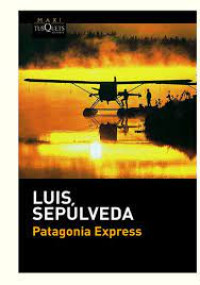 Patagonia express